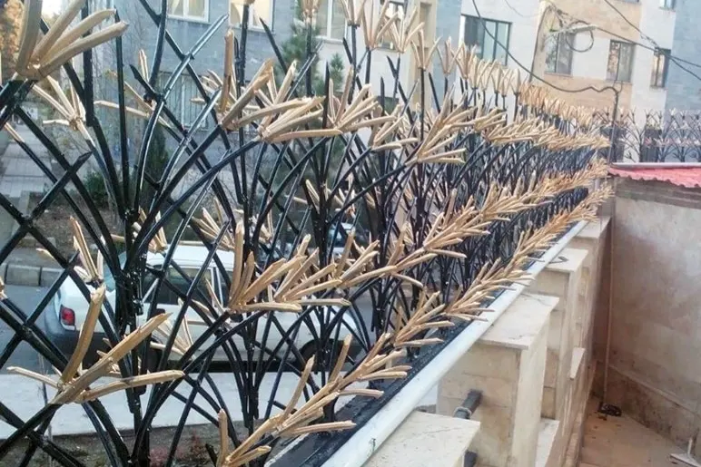 حفاظ شاخ گوزنی 