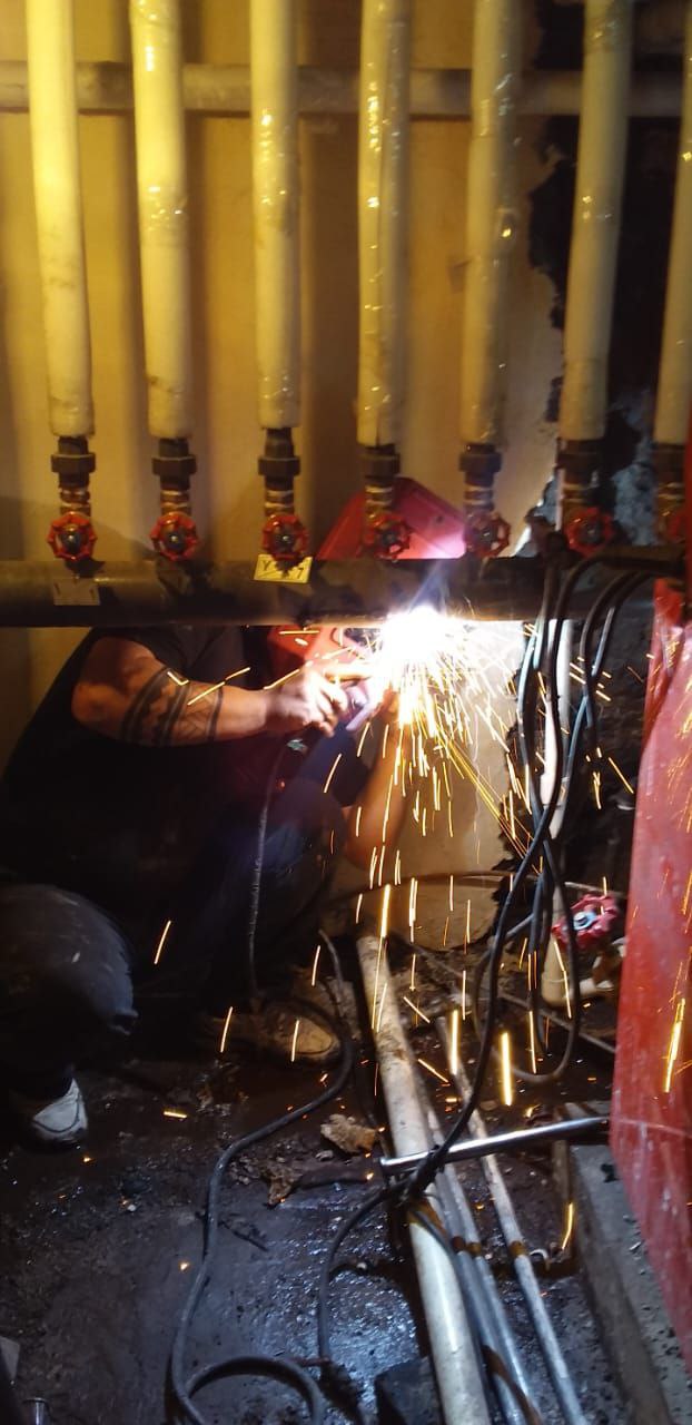 نمونه کارها